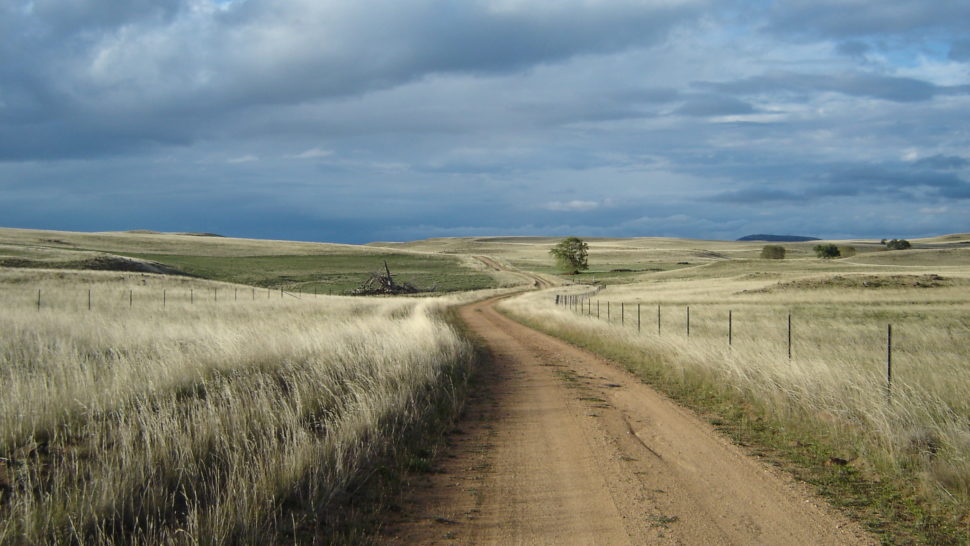 Monaro Plains