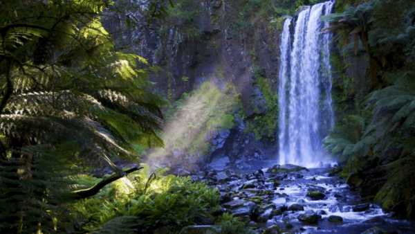 Hopetoun Falls, Great Otway National Park. Photo Luka Harrison