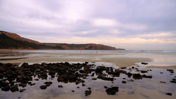 Addiscot Beach. Photo Andrew Perry