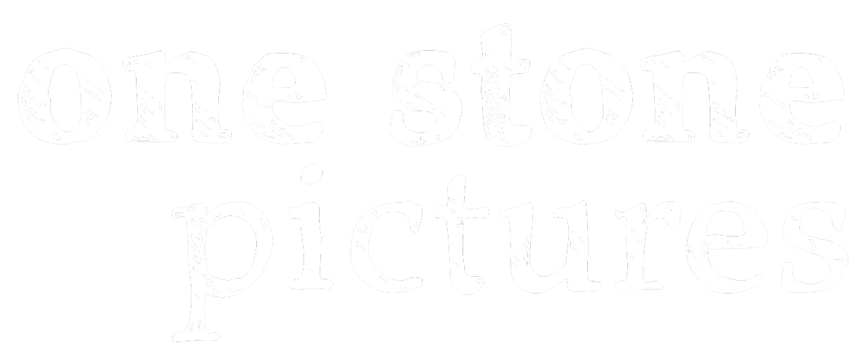 campany logo